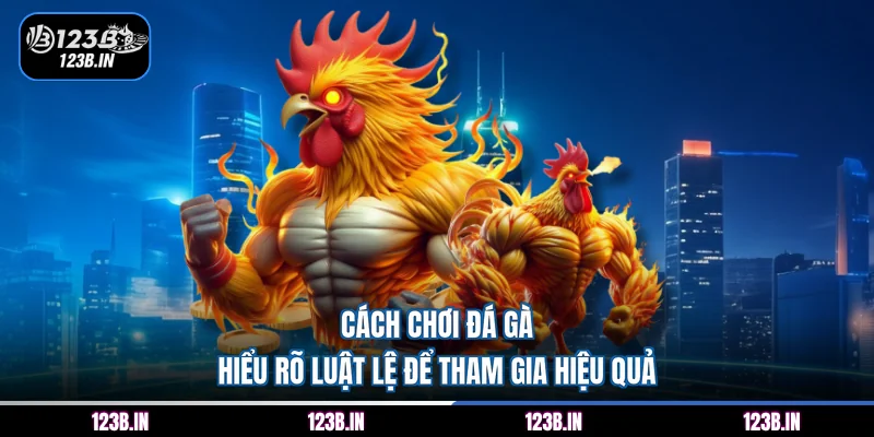 cách chơi đá gà
