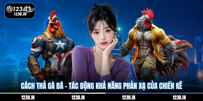cách thả gà đá