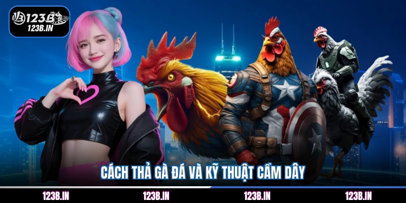 Cách thả gà đá và kỹ thuật cầm dây