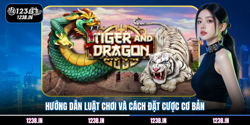 Hướng dẫn luật chơi và cách đặt cược cơ bản