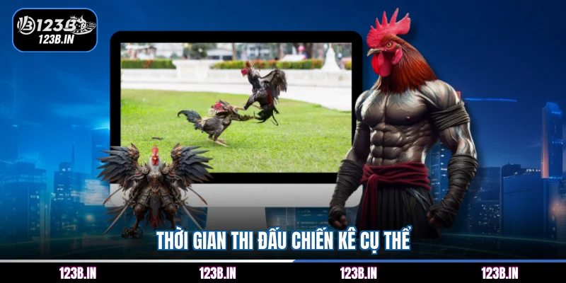 Thời gian thi đấu chiến kê cụ thể