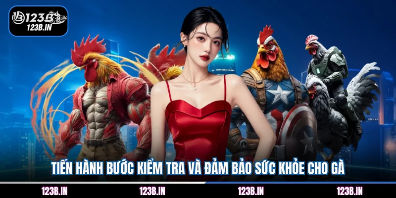 Tiến hành bước kiểm tra và đảm bảo sức khỏe cho gà